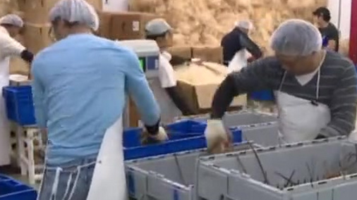 【出口中国降为零 曾被中国吃货拯救的美国龙虾业又被重创】由于出口中国受阻,美国龙虾业正遭受